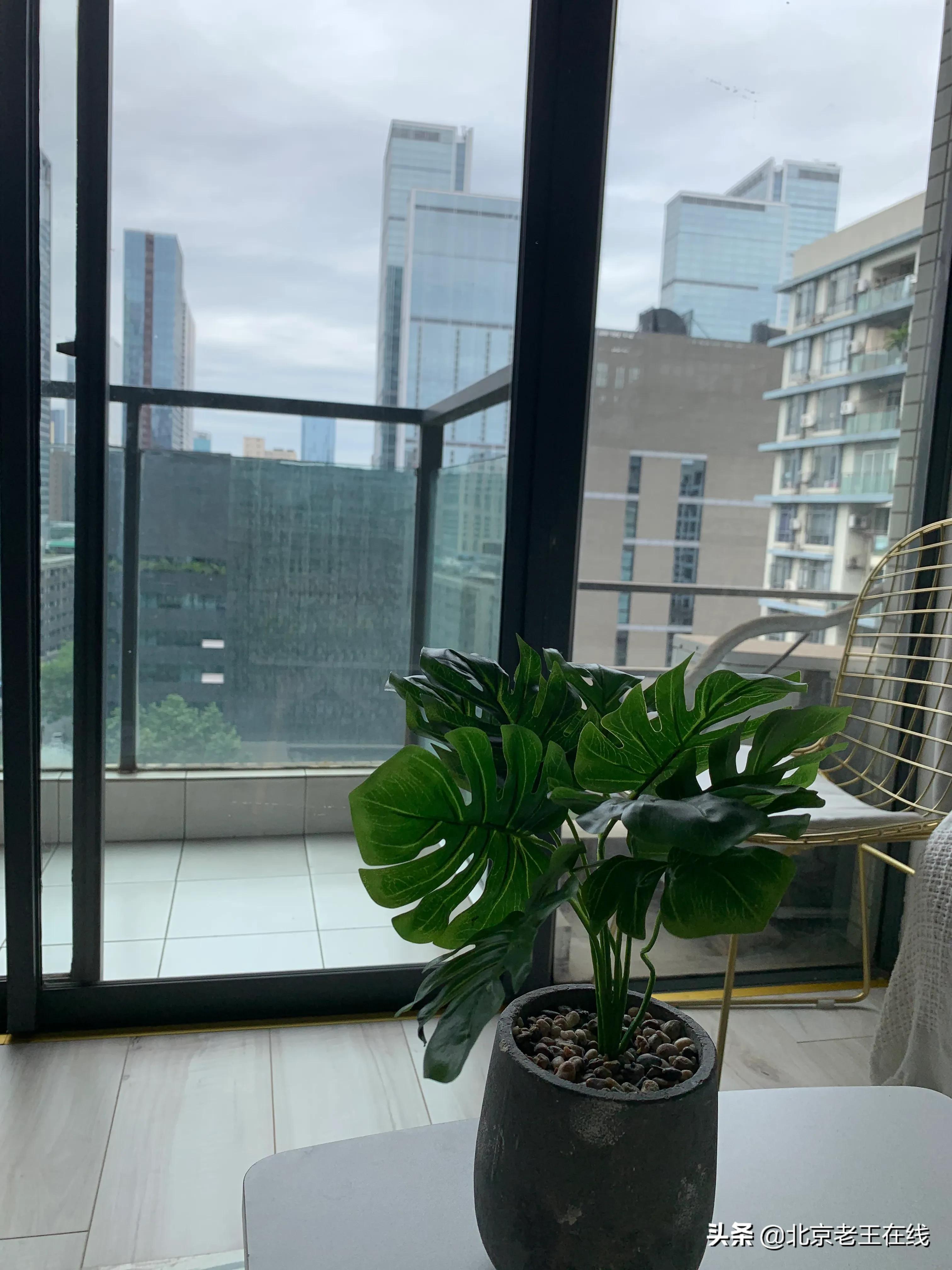 川渝旅行八天,川渝民宿