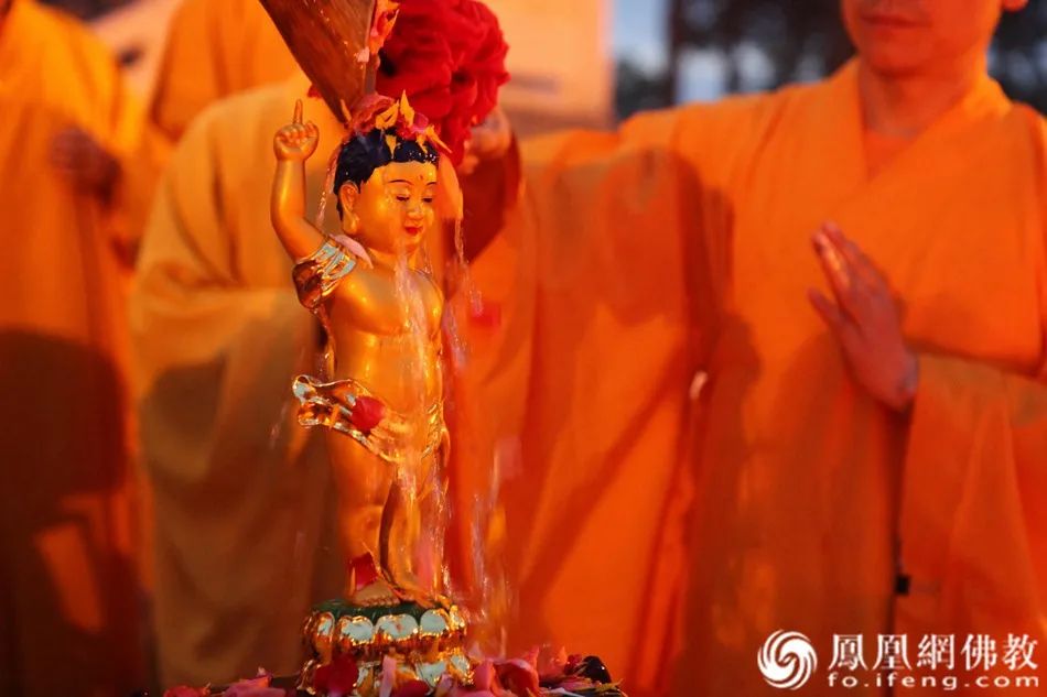 佛教节日喜迎佛诞日,面对疫情佛弟子应该怎么做