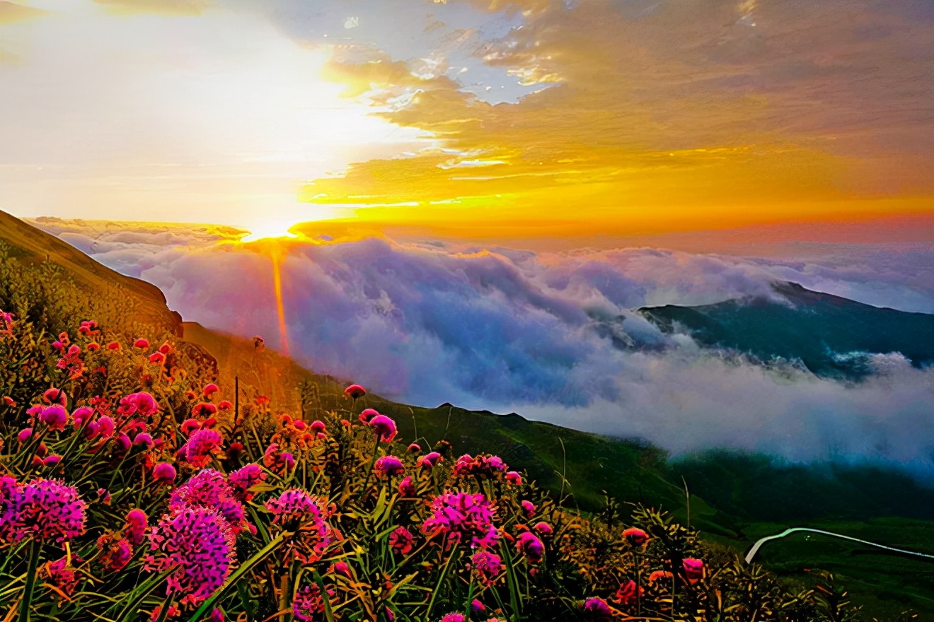 贵州人口最多的市,贵州人口最多的县