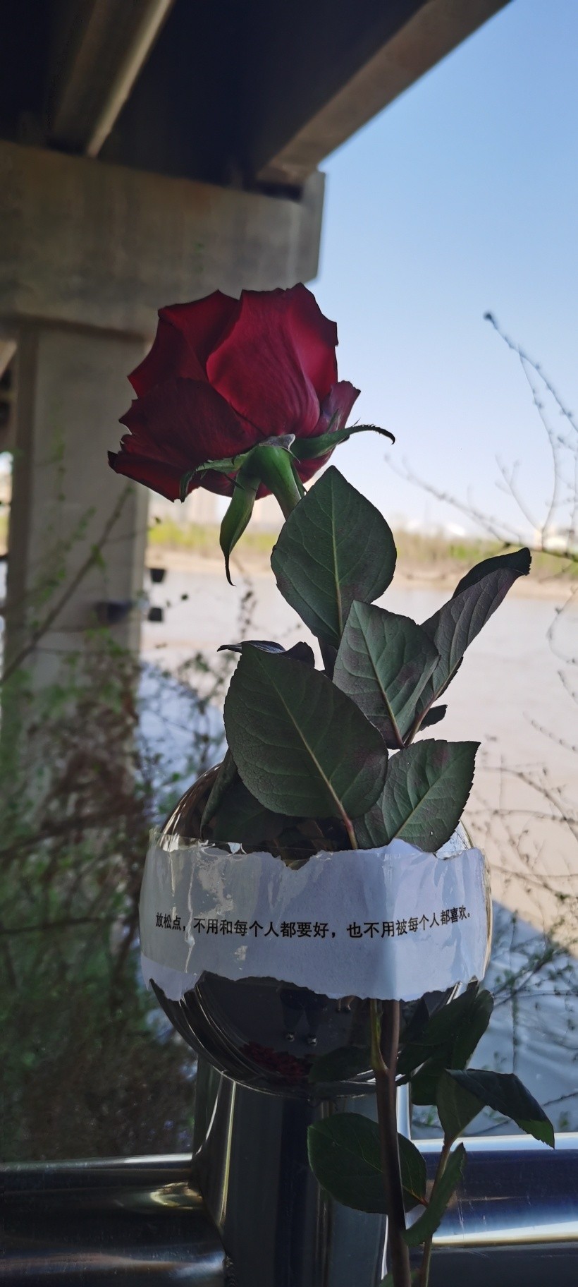 情商不高的星座,天才级别的三大星座智商情商双高