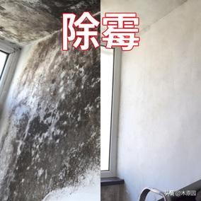 如何去除木家具的霉,如何去除家具霉点和霉斑