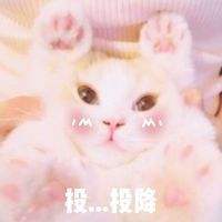 日本小众首饰樱花款,新年必入的首饰种草