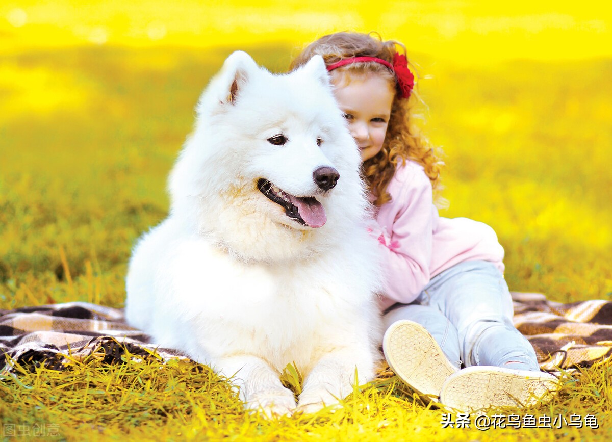 室内适合养什么动物不花力气,萌巢室内动物园有什么动物