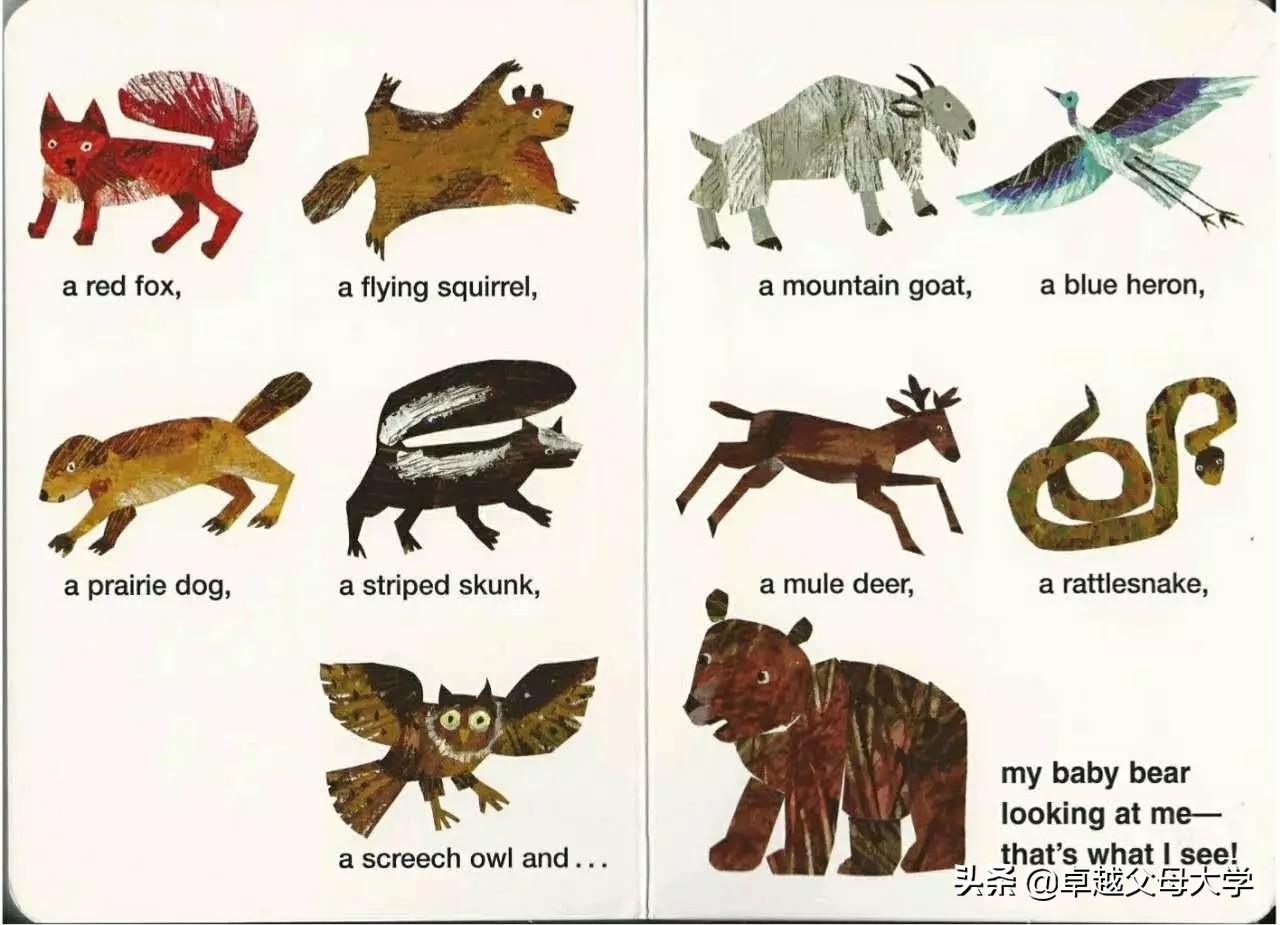 babybear英文绘本,babybearwhatdoyousee绘本