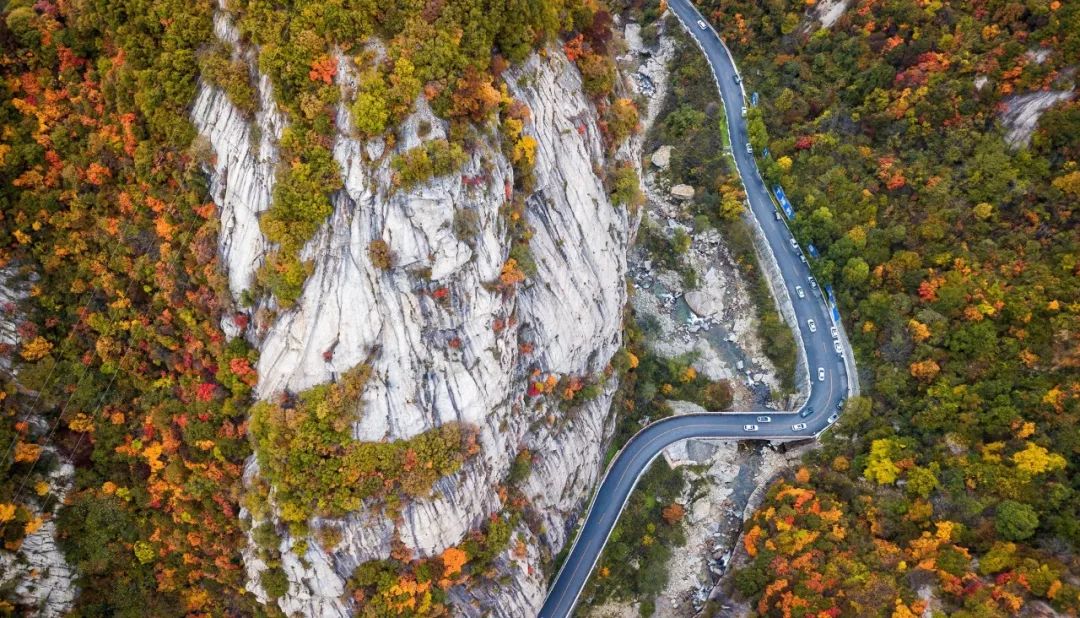 2021秦岭鸡窝子分水岭红叶,秦岭红叶最佳自驾线