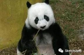 十种过时的网红设计,过气网红吉祥物福娃