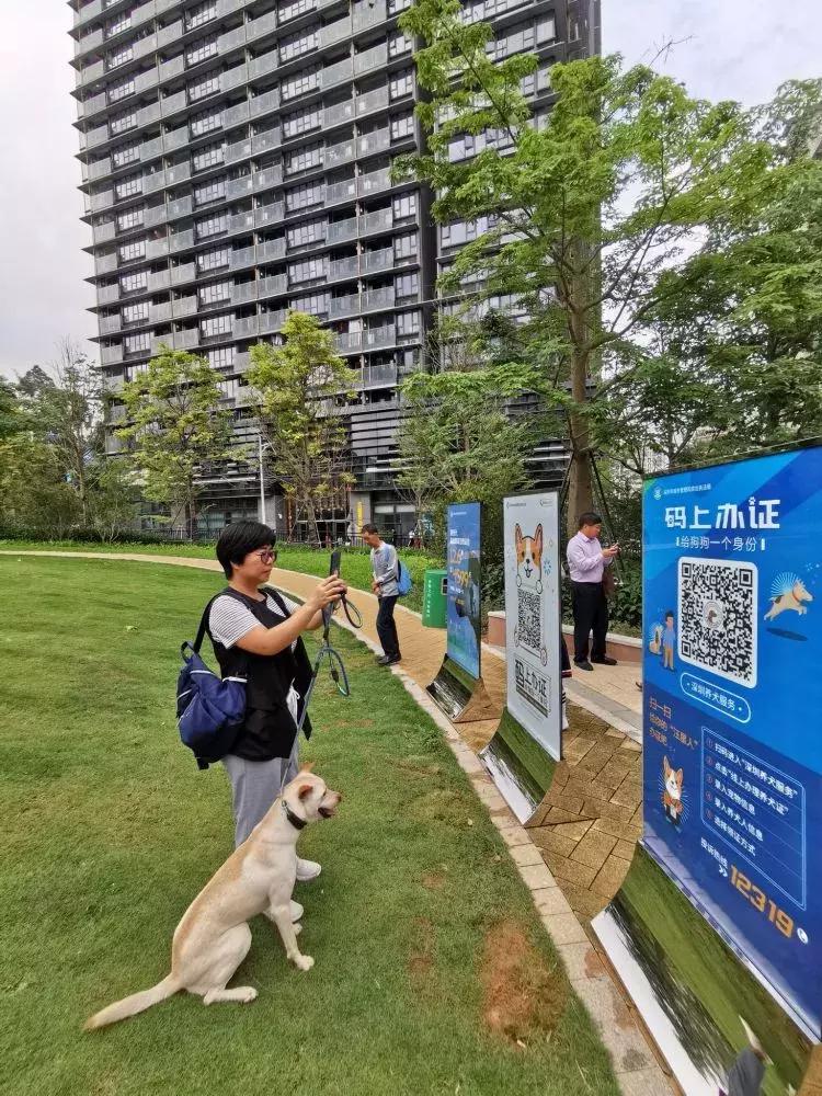 给狗狗养犬许可证,深圳养狗没养犬证罚多少