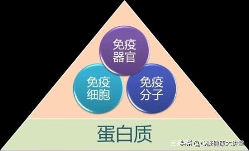 免疫球蛋白又称为什么,免疫球蛋白好还是疫苗好