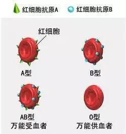 天生受胃癌“眷顾”的一群人,你可能正处其中~