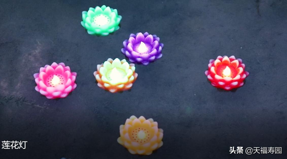 莲花灯什么说法,莲花灯来源是什么