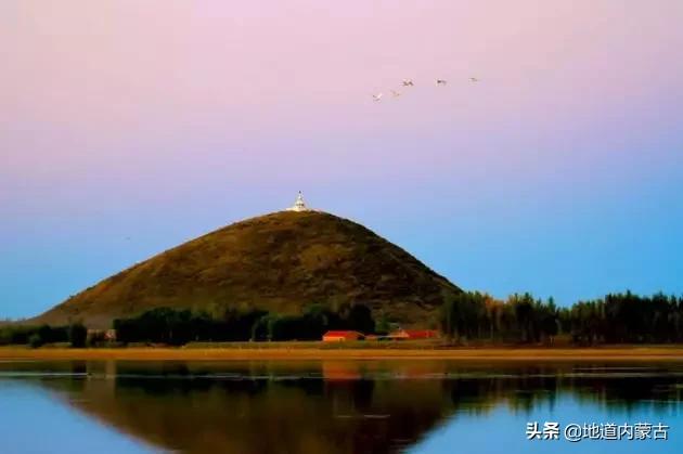 阿古拉湿地草原视频,阿古拉湿地有什么鸟