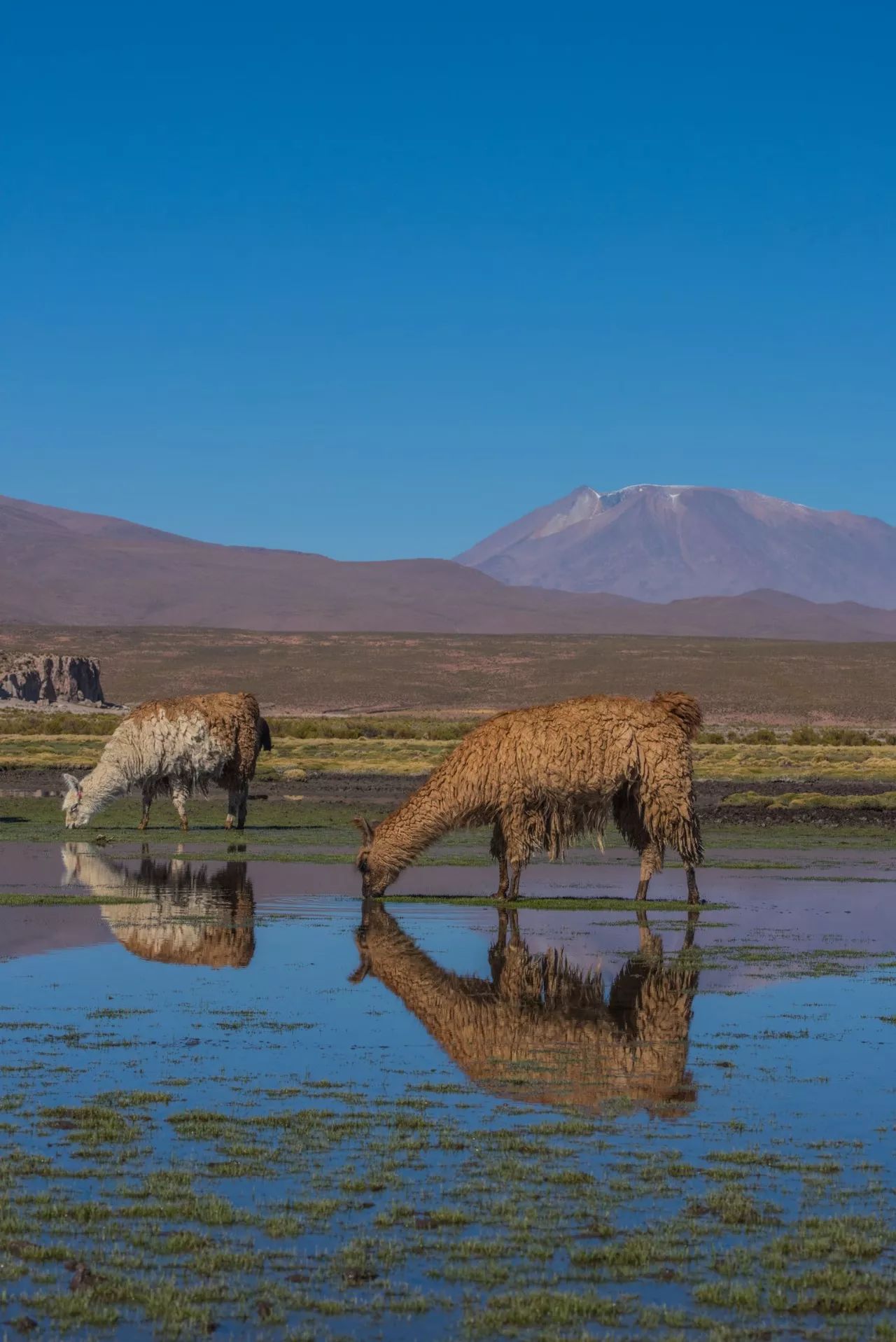 中国免签国多少个,中国出国免签国名单