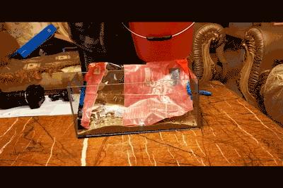 小佩起源纪鱼缸过滤怎么样,小佩起源纪鱼缸