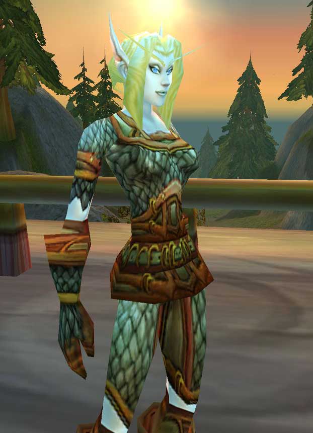 魔兽世界暗夜精灵势力,魔兽世界过热蓝屏