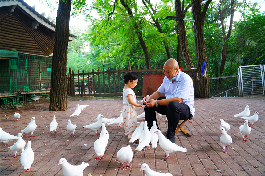 淮北乾隆湖有什么好玩的,淮北千龙湖公园有什么好的