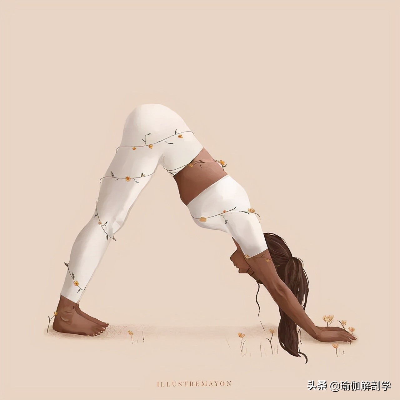 我向往的瑜伽练习，大概是这个样子……