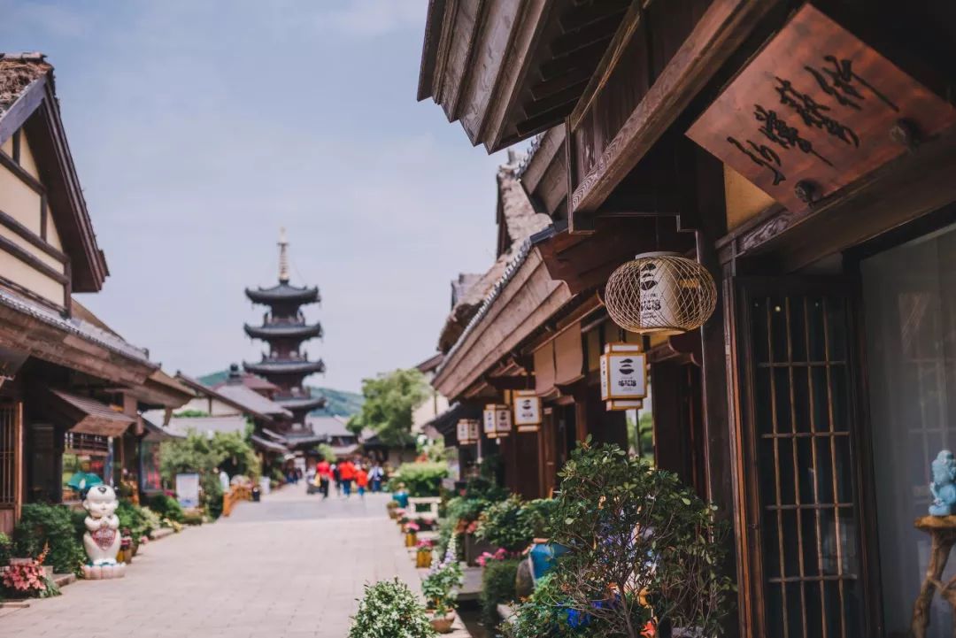 三大赏樱胜地哪个地方樱花最多,国内赏樱花的最佳地点