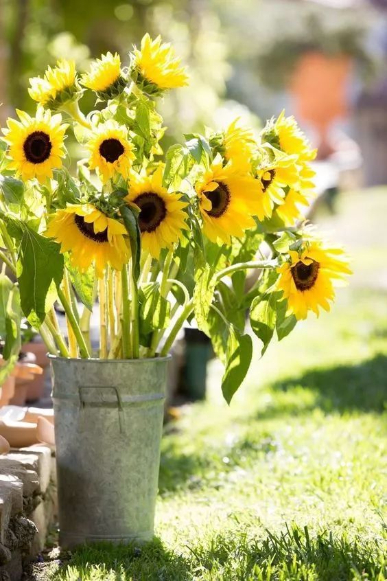 开花店必须要知道的花艺知识科普,开花店花艺师都需要掌握什么技术