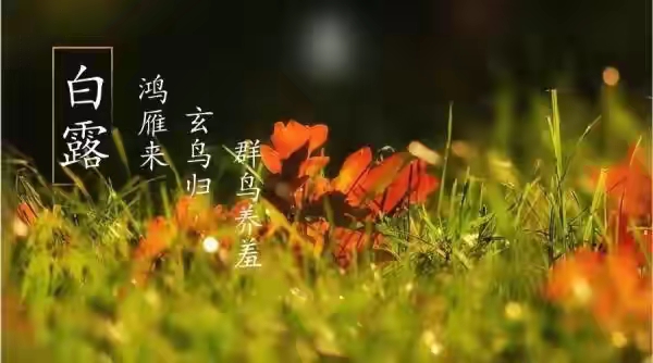 「节气变换」今日白露：露从今夜白，月是故乡明