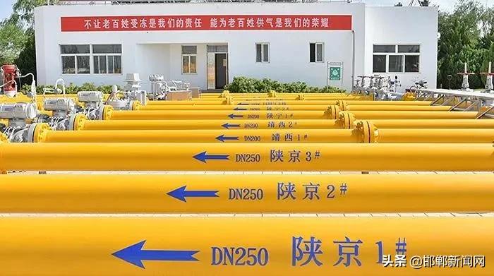 邯郸最新任免7人,邯郸市新任免通知