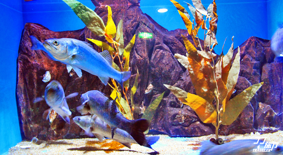 青岛最大的海洋世界在哪里呀,山中有海海上有门是谁写的