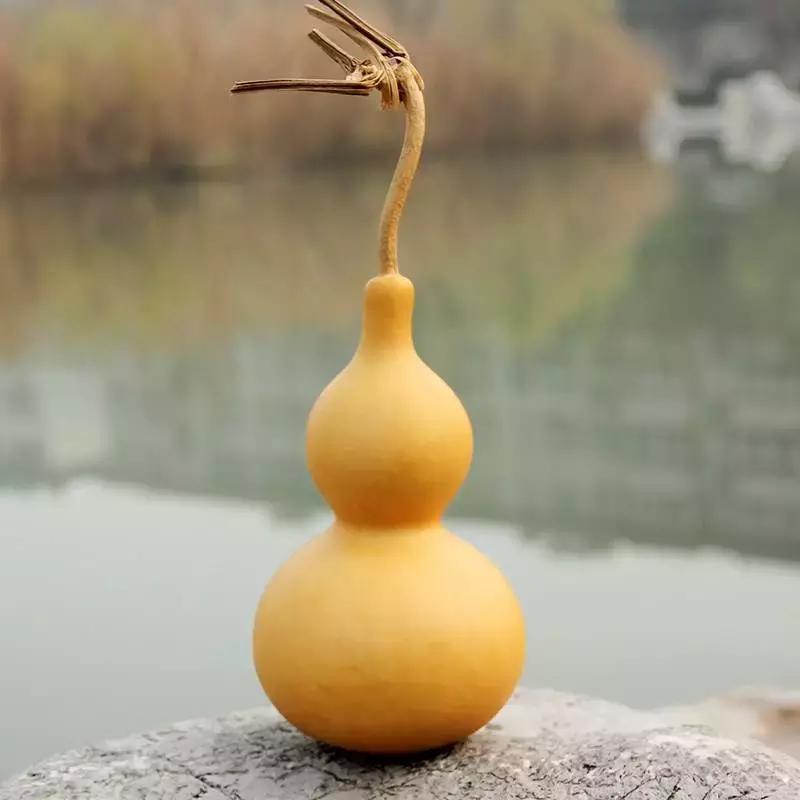 在单位你可能就是个螺丝钉,在单位你真的很重要