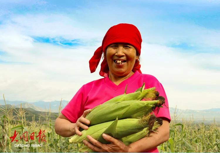 小康圆梦|电商配玉米，迎来“新”滋味