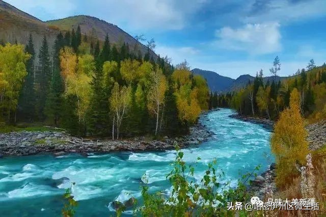 来听听*疆新**人怎么介绍*疆新**吧