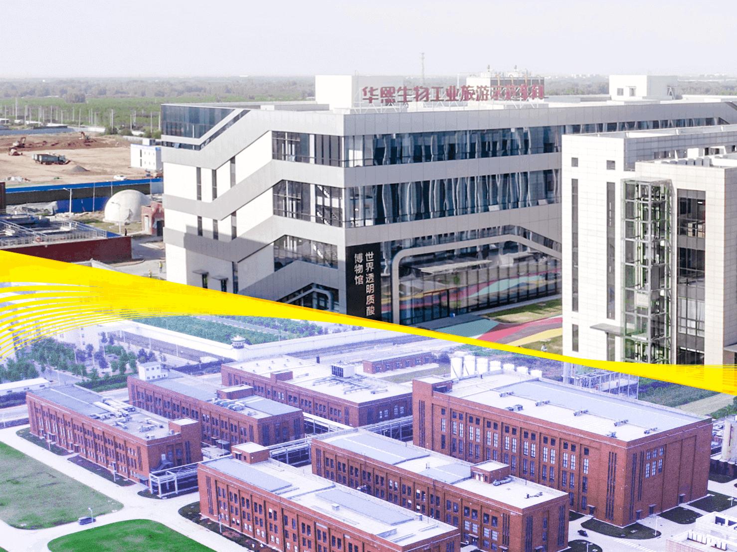 华熙生物珂岸男士氨基酸洗面奶,华熙生物珂岸男士洗面奶