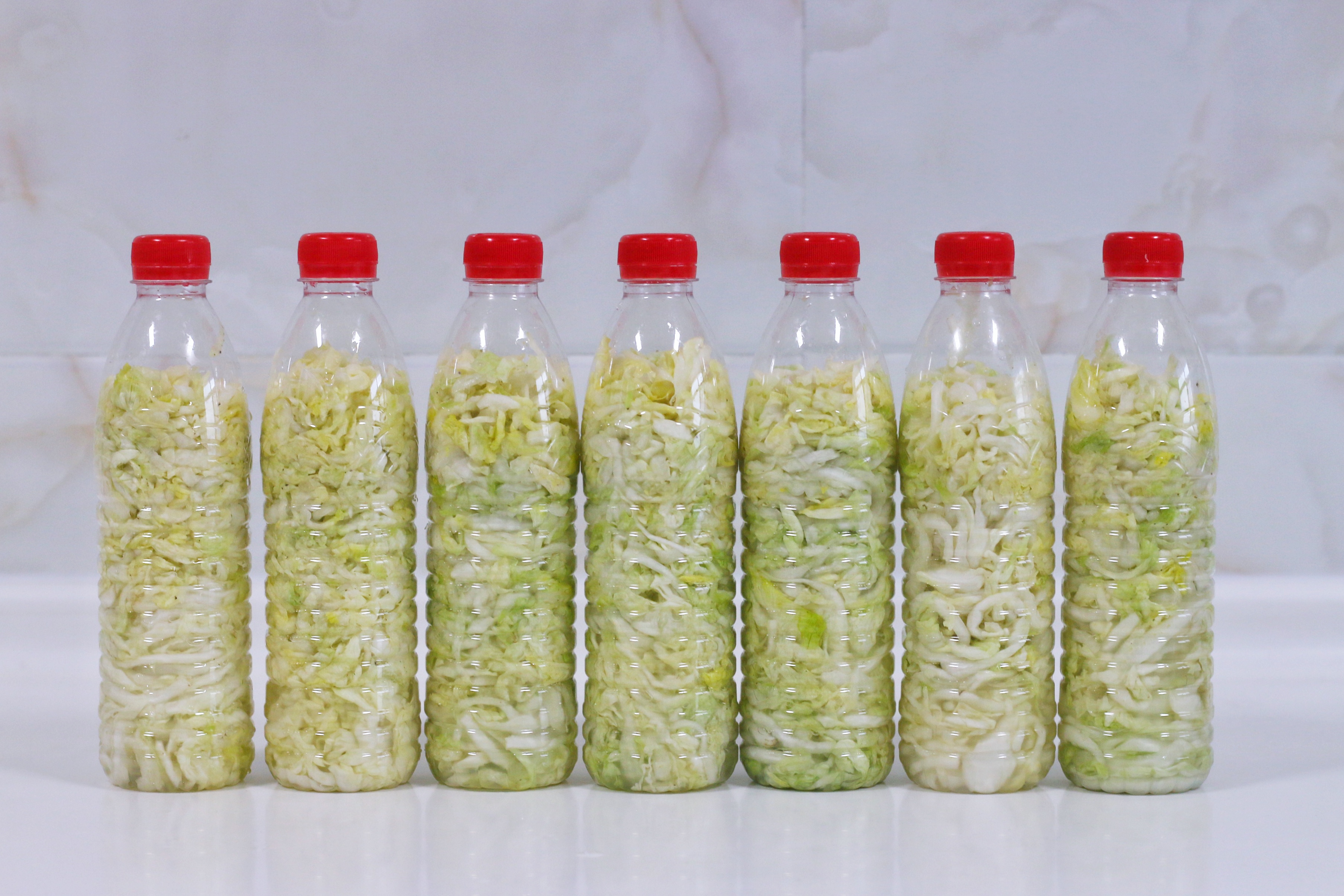 东北酸菜的腌制方法酸菜炖粉条,想吃老坛酸菜怎么做法