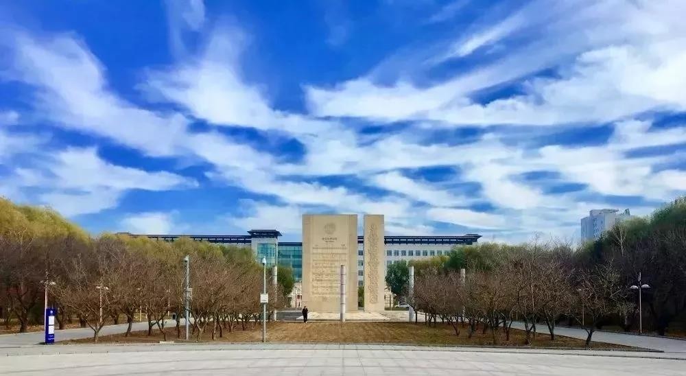 央视新闻中国院士,东北医学界院士