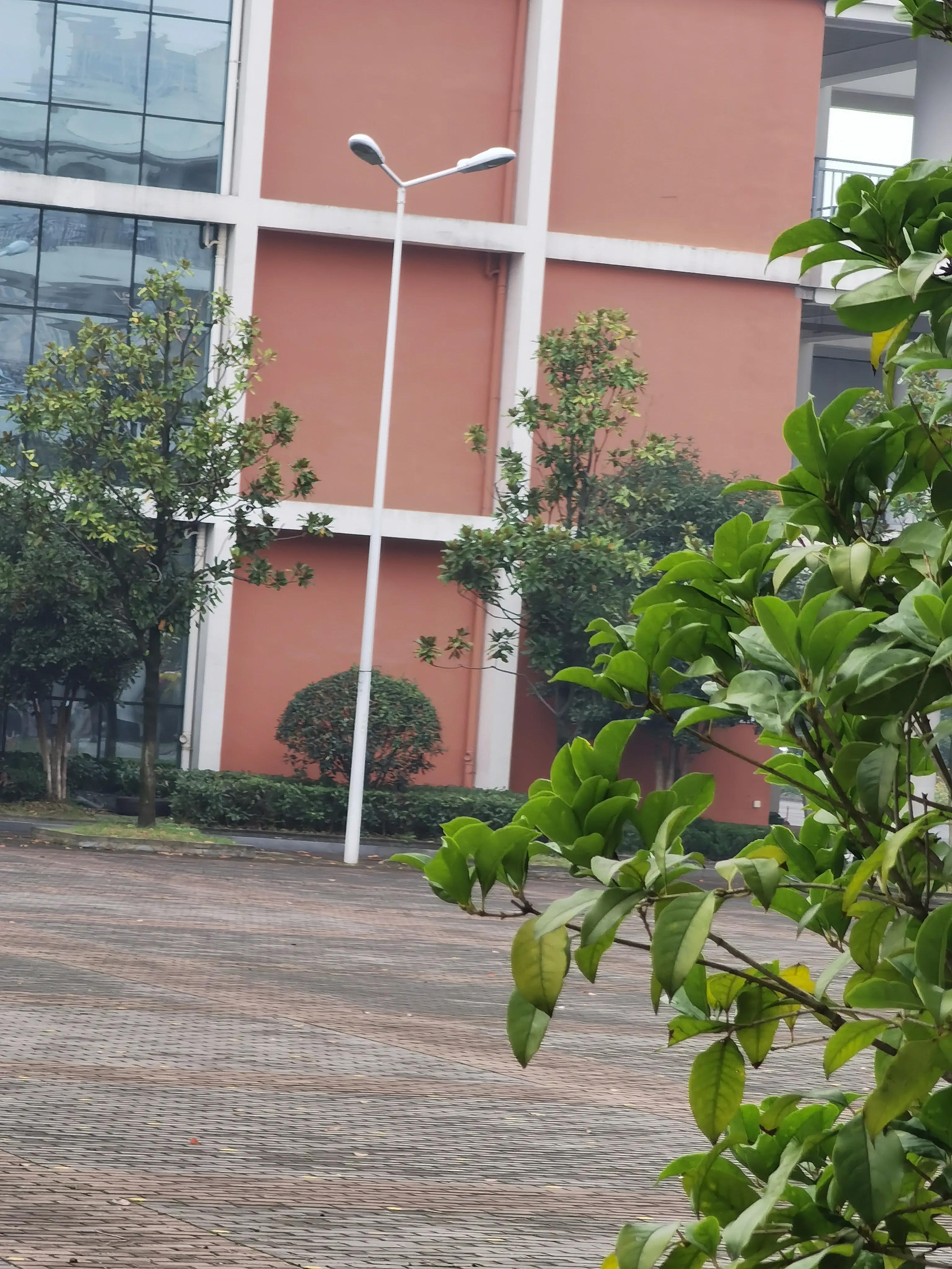 家长纠结孩子位置幼师该如何回答,家长纠结孩子该不该上一年级