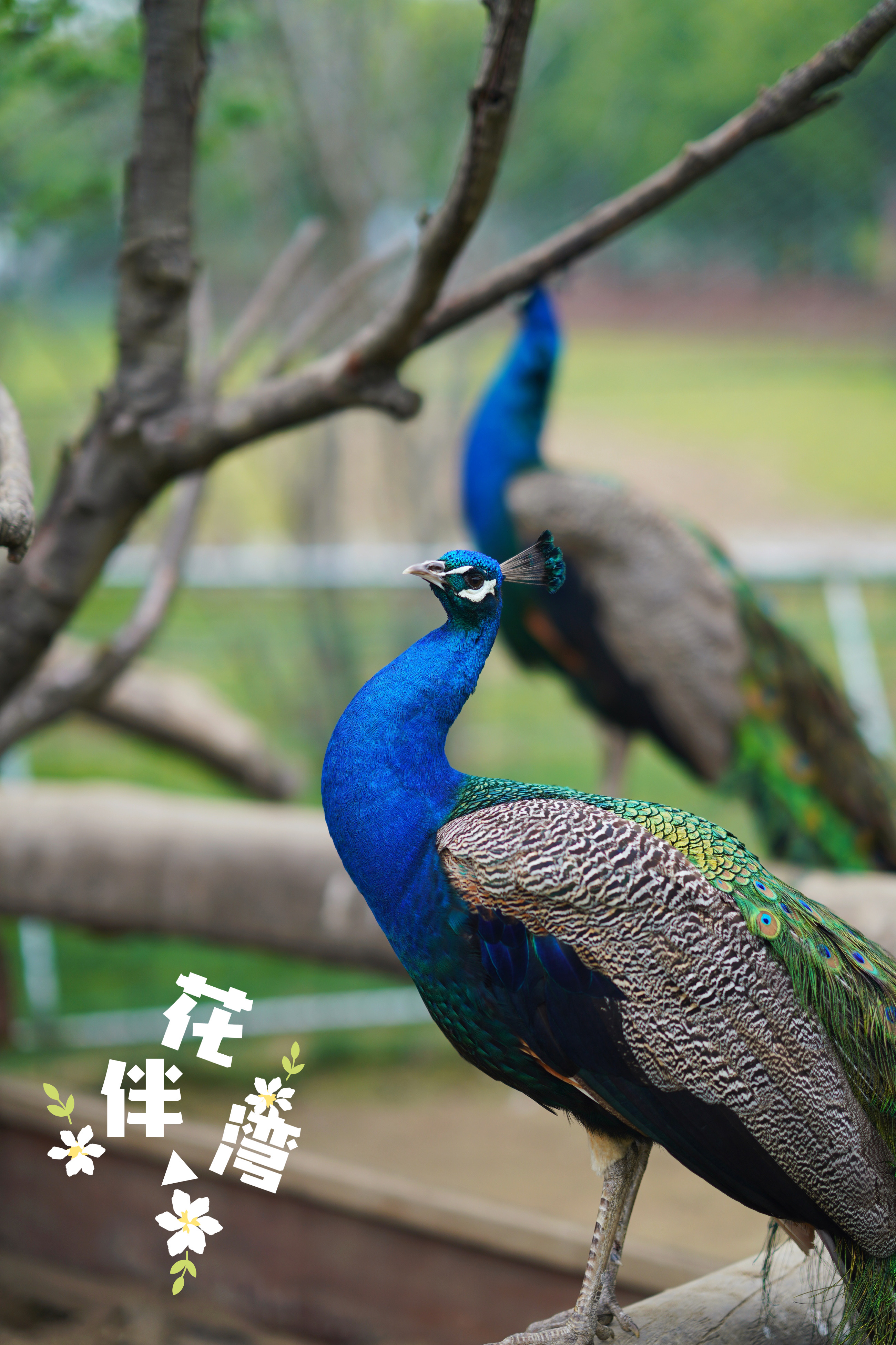苏州特色民宿推荐,苏州最有特色民宿推荐