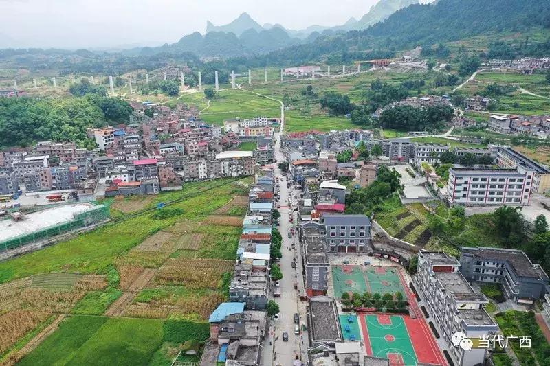 粤桂东西部协作,粤黔东西部协作交流