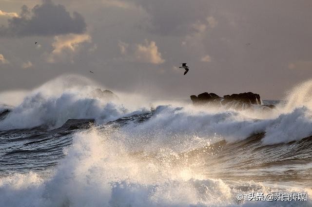 中国最大的内陆湖鱼,中国哪里湖的鱼最贵