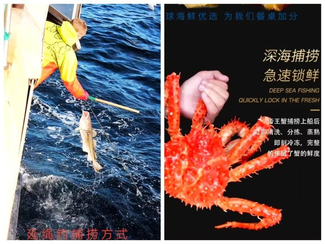 看了这40位生活美学家的创造，心顿时亮了！西安人年度最佳收藏贴