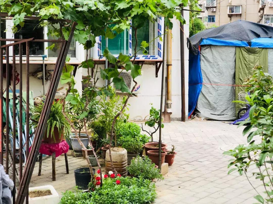 生活在济南城市怎么样才能快乐,生活在老城区的感受