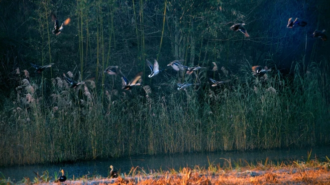 中国最具幸福感城市常熟,常熟是个优雅的城市