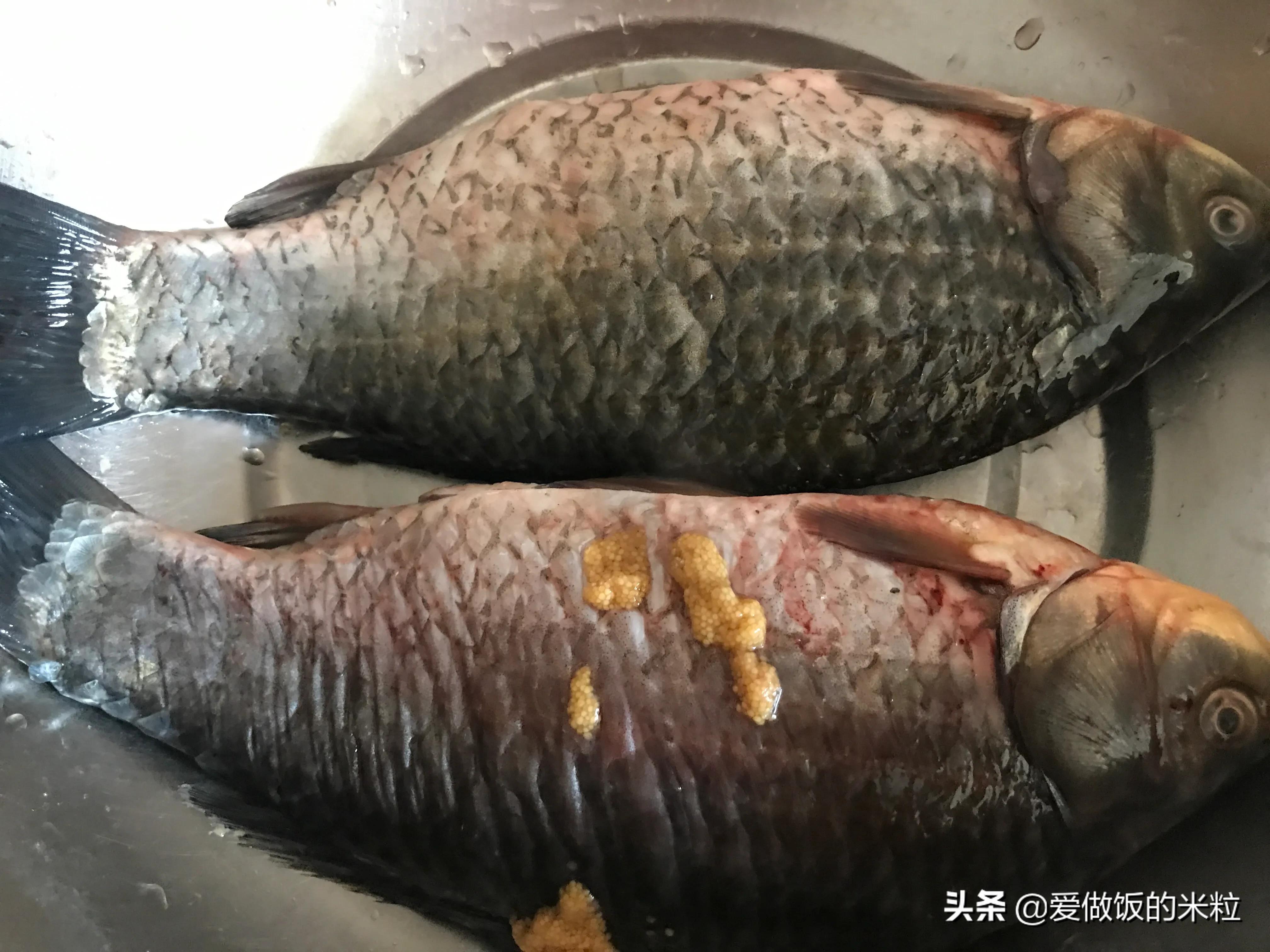 炖鱼怎么炖又烂又嫩又好吃,家常炖鱼的做法简单又好吃