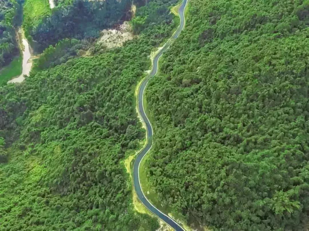 羊台山风景视频大全,深圳羊台山哪里风景最好