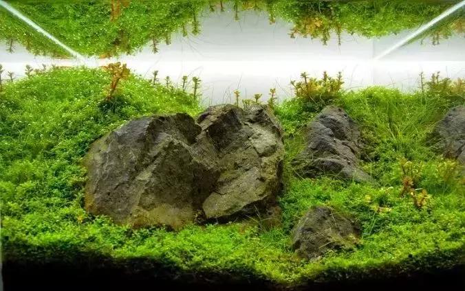 如何打造景观小缸,院子简易水景流水缸制作方法图片