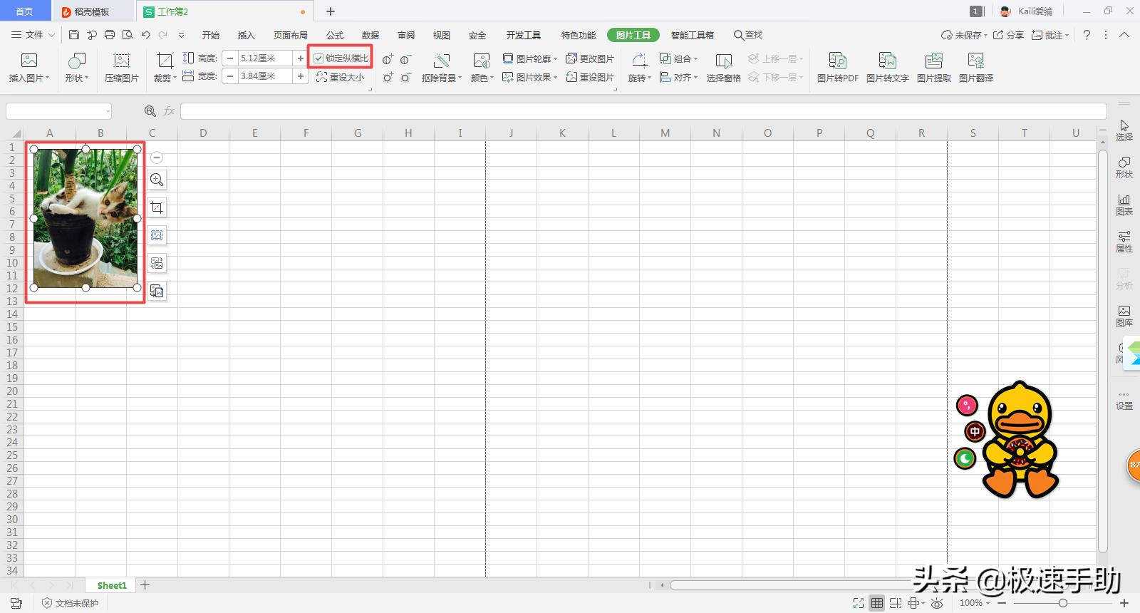 excel如何使用照片纸打印证件照,excel怎么用照片纸打印证件照