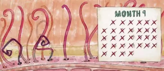 戒不戒烟对孩子有影响吗,不要因为自己而害了孩子