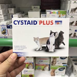 猫咪膀胱结石频繁上厕所尿少,猫咪排尿困难引起便血怎么办