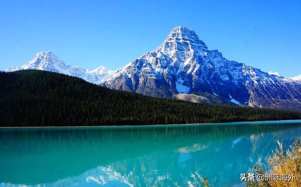 加拿大个人所得税如何退税 (加拿大留学生报税退税政策)