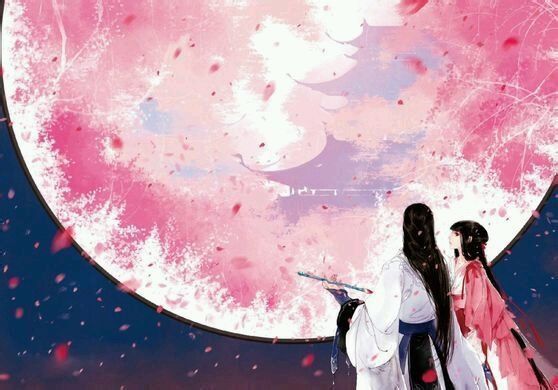 但愿人长久千里共婵娟婵娟是什么,但愿人长久千里共婵娟婵娟是指啥