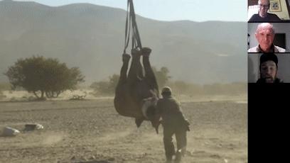 潜艇里杀蟑螂、人类猫语十级,今年的搞笑诺贝尔奖来了