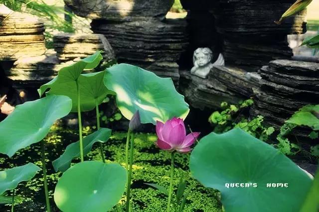 她40岁之前忙成狗，40岁之后在上海买房隐居