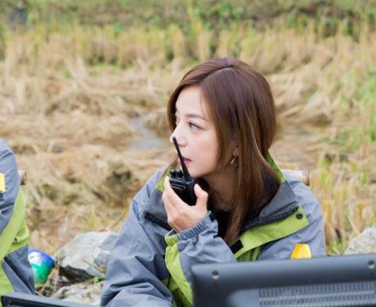 琼瑶对小燕子的评价,琼瑶评价赵薇