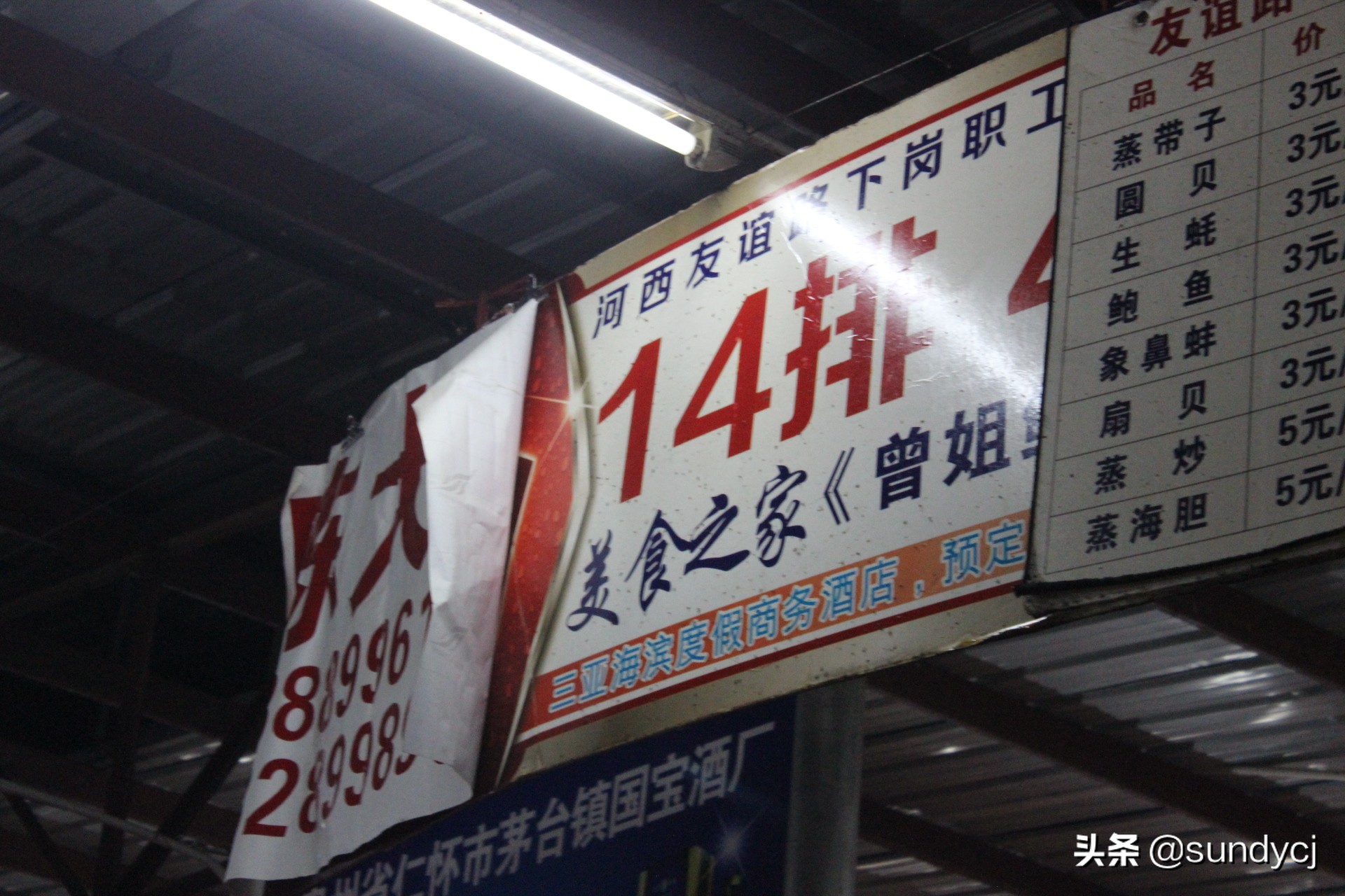 小奔奔,长安新能源奔奔自驾游西藏